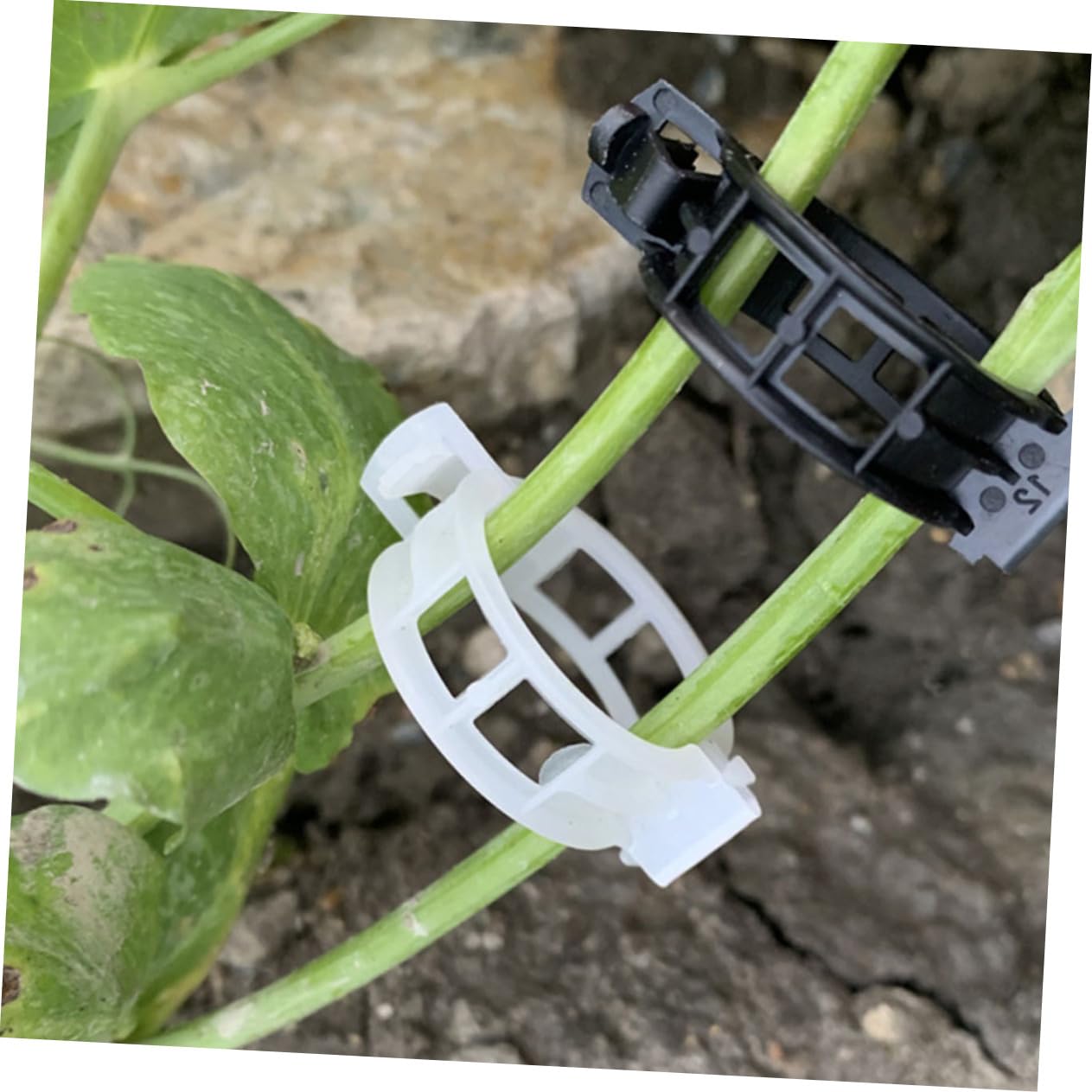 Mikikit 500stücke Pflanzenclips Für Tomaten Und Kletterpflanzen Wiederverwendbare Gartenclips Stabile Pflanzensicherung Für Blumen Und Gemüse