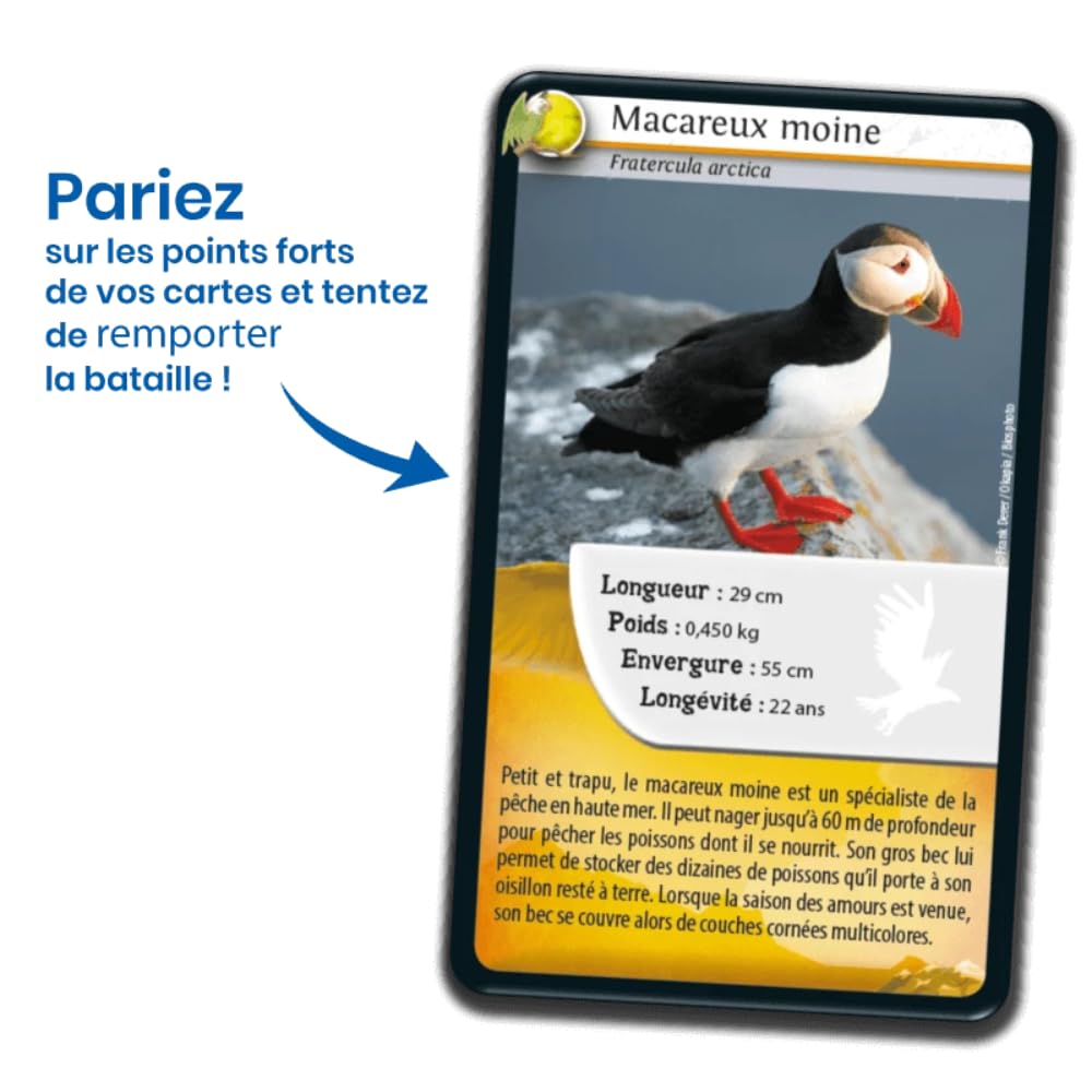 Dioses Juego De Mesa Juego De Los Retos Comprar Bioviva Retos Nature Francia Apuesta Por Los Puntos Fuertes De Estos Animales Para Ganar La Batalla Juego Cartas 2 A 6 Jugadores 7