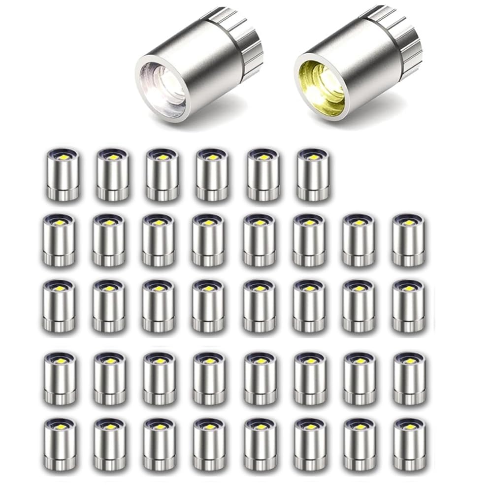 CTRLZS 40Pc Miniature Led Lights,Tiny Lights for Hand Craft,Miniature Lights Battery Powered,Indoor Outdoor Decoration Supplies