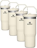 Vista 106 de Stanley - Vaso con popote plegable IceFlow con asa de 30 onzas Tapa de giro y popote abatible Botella de agua resistente a fugas Acero