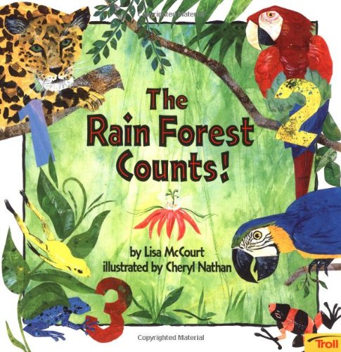 The Rain Forest Counts!
