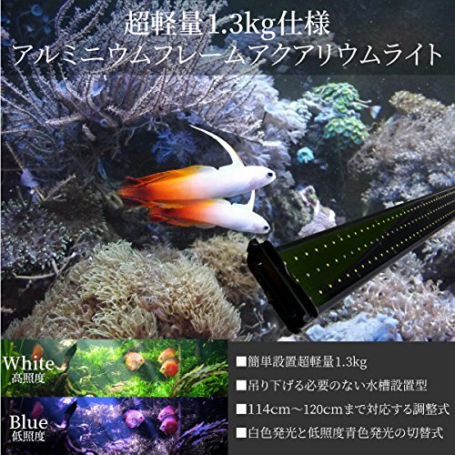 アクアリウム　LEDライト　まとめ売り Amazon | アクアリウム LED ライト 水槽 照明 180LED 42W 2色