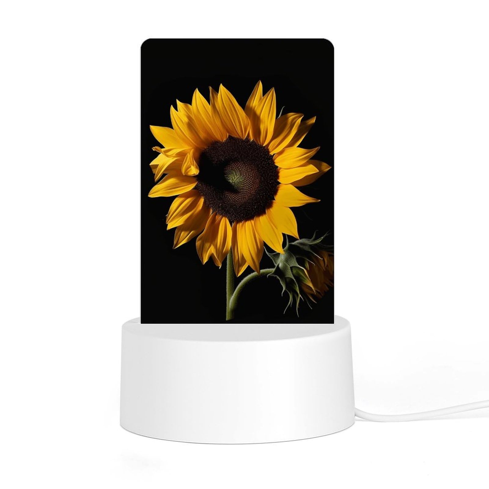 JTREHY Acrylic Night Light with Base, Sunflower Black Background Printed Desktop Night Light LED Bedside Night Light for Bedroom, Bathroom, Corridor, Holiday Gift