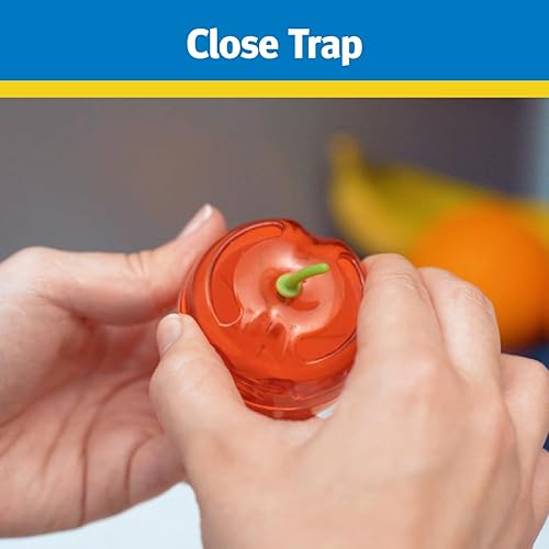 Miniatura 7 de Raid FFTA - Trampa para moscas de frutas, rojo, 1 trampa