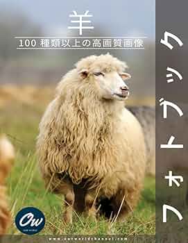 作家　羊 61KLWhGBjIL._AC_UF350,