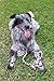 The Natural Pet Company Dog Rope Toy Pack Includes 2X Dog Toys and Presentation Box.