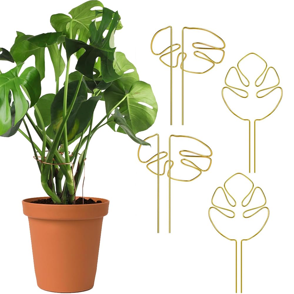 Amazon | モンステラ 支柱 観葉植物 支柱 モンステ 園芸 植物サポート