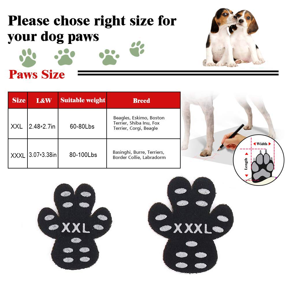 Can You Tell Size Of Dog By Paws