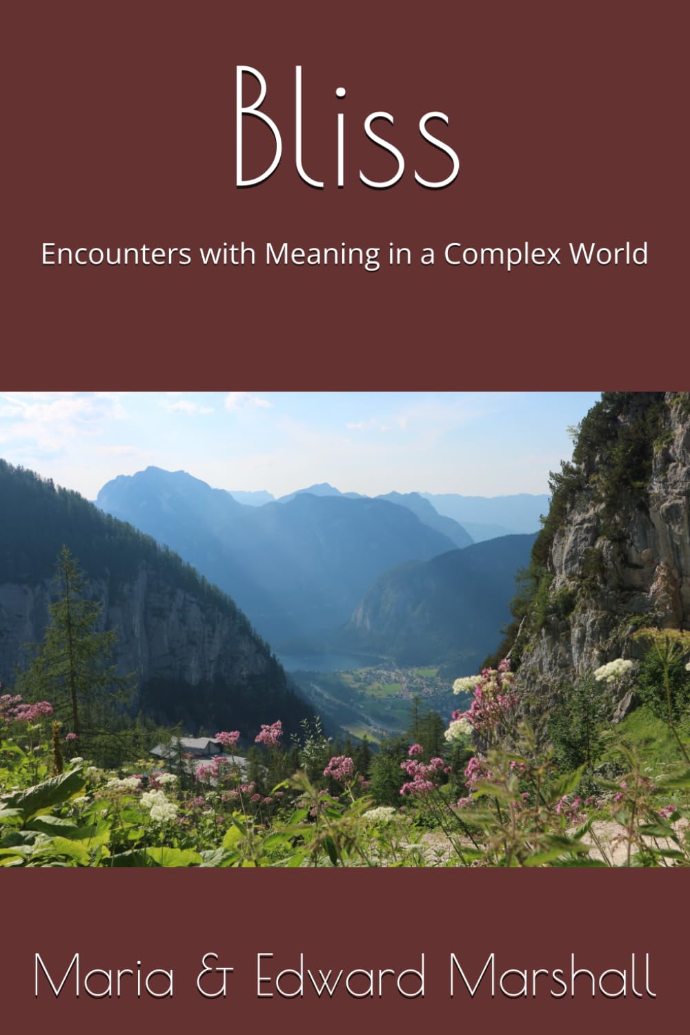 Bliss: Encounters with Meaning in a Complex World