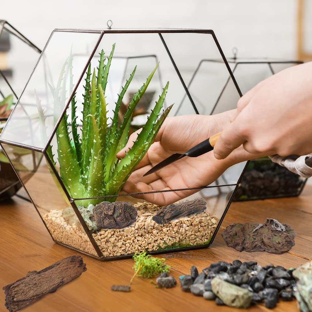 Paisaje En Miniatura Con Tocon De árbol Cubiertos De Musgo Y