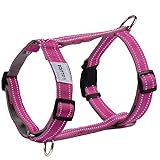 [LaLUCA GOODS] 犬 ハーネス 小型犬 中型犬 大型犬 抜けない 脱げない 抜けにくい エスケープガード 柴犬 おしゃれ かわいい 簡単 安心