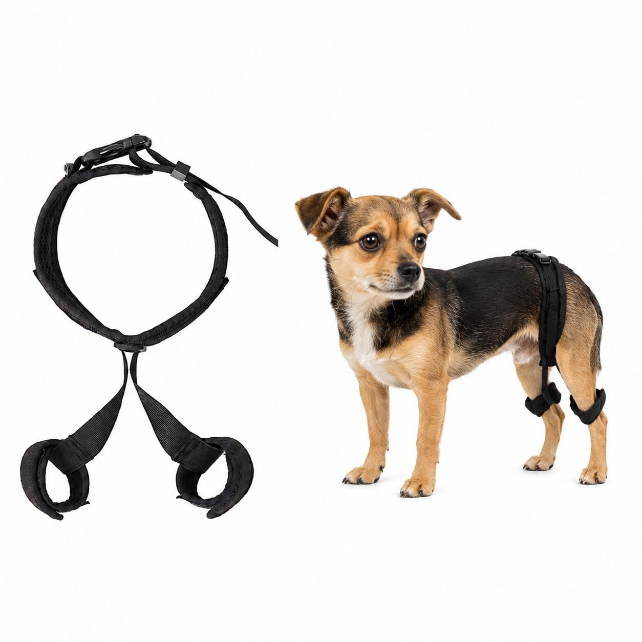 Amazon | Nikkashop 犬 股関節サポーター 後ろ足 サポーター 股関節