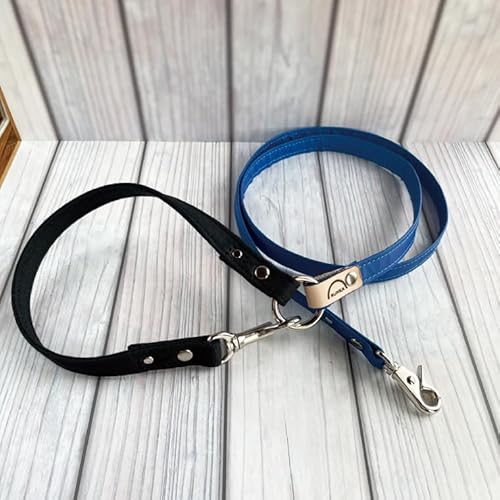 [小型犬用10キロまで]光るリード「蒼」[散歩 愛犬 夜散歩 手作り 阿見町 茨城県]