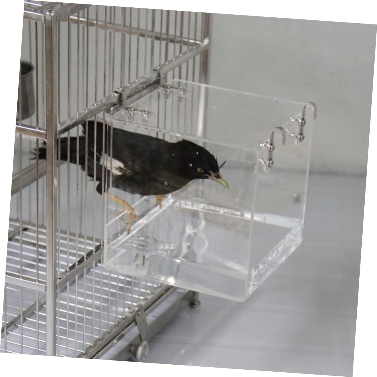 Parakeet Bathing Tub Acrylic Bird Bath Large Hanging Shower Basin for Birds Safe