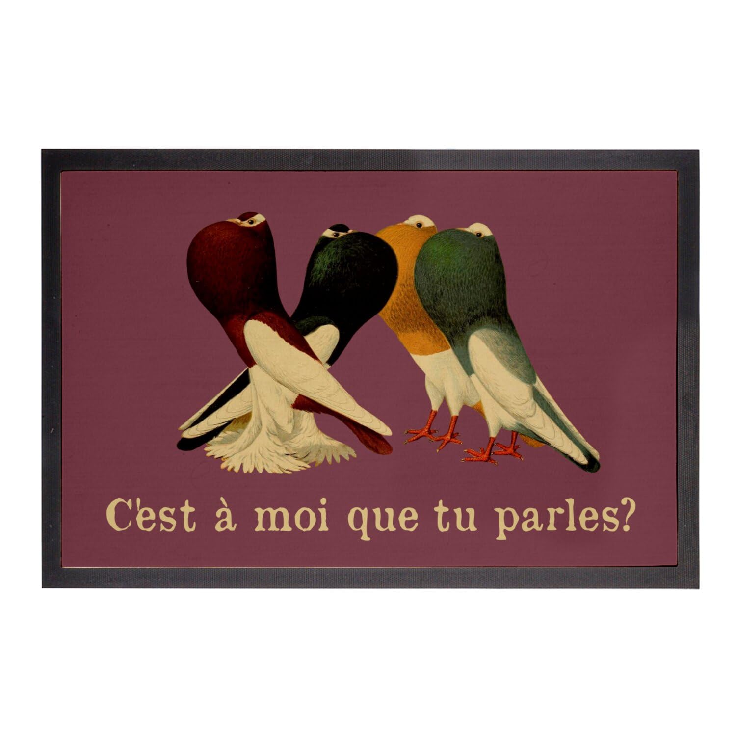 Paillasson rouge pigeons tapis entrée vintage 75x50 cm illustration biologie
