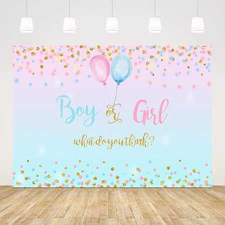 Gender Reveal Toile De Fond Pour Photos Bleu Et Rose Pour Fete Prenatale 7 X 5
