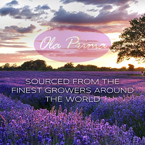 Ola Prima Oils - Clove Essential Oil 4 Oz thumb #2