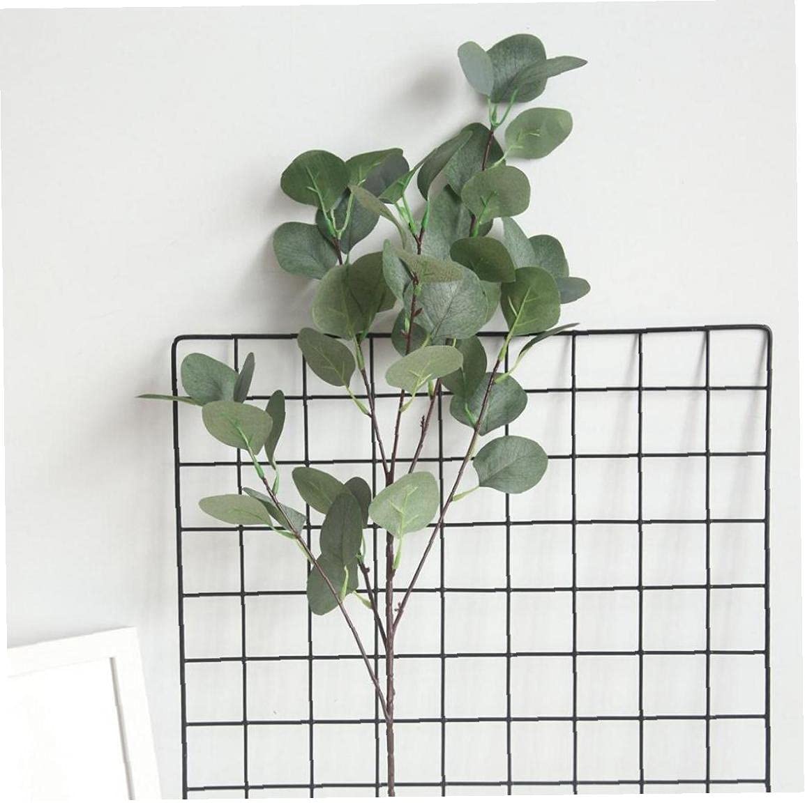 Amazon ユーカリの木の枝丸い葉人工貨幣葉ユーカリの植物装飾偽の花偽の葉 人工観葉植物 オンライン通販 Amazon ユーカリの木の枝丸い葉人工貨幣葉ユーカリの植物装飾偽の花偽の葉 人工観葉植物 オンライン通販