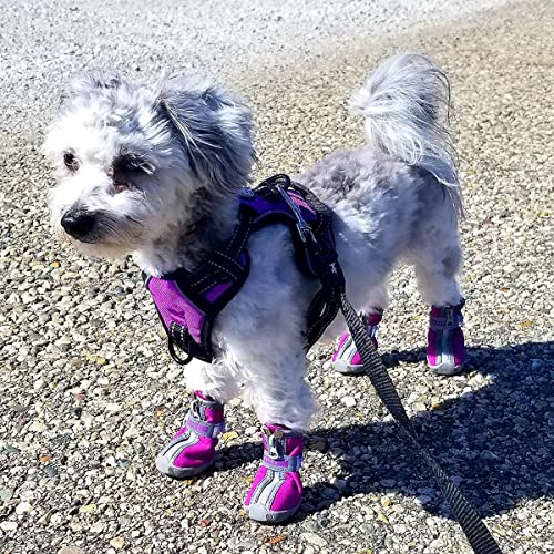 Qumy Dog Shoes For Small Dogs, Puppy Dog Boots & Paw Protector For Winter Snow Day, Summer Hot Pavement, Waterproof In Rain Weather, Ourdoor Hiking, Indoor Hardfloors With Anti Slip Sole Purple Size 2 #TOP6