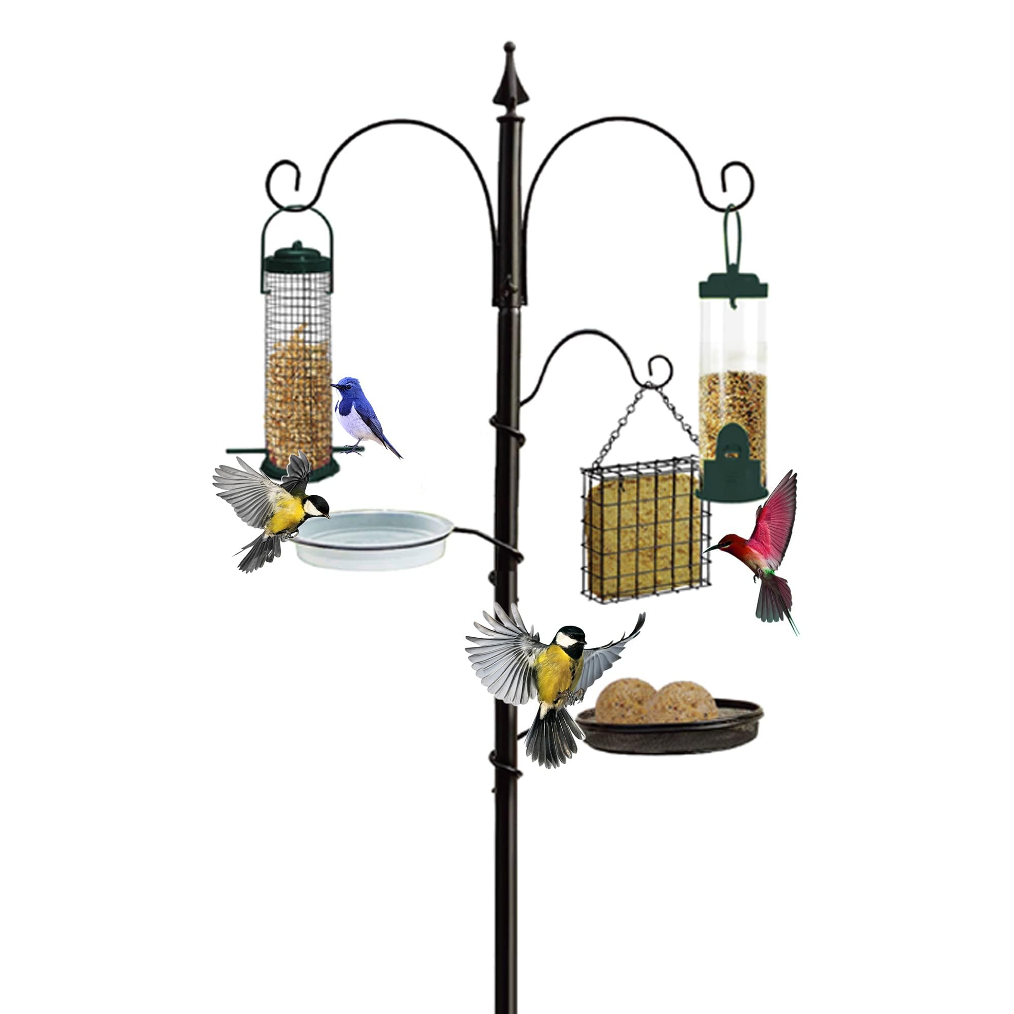 Bird Feeder with 3 Feeders & 2 Dishes | Bird Feeders Hanging Station, Bird Feeding Stations for the Garden, Bird Feeders for Small Birds