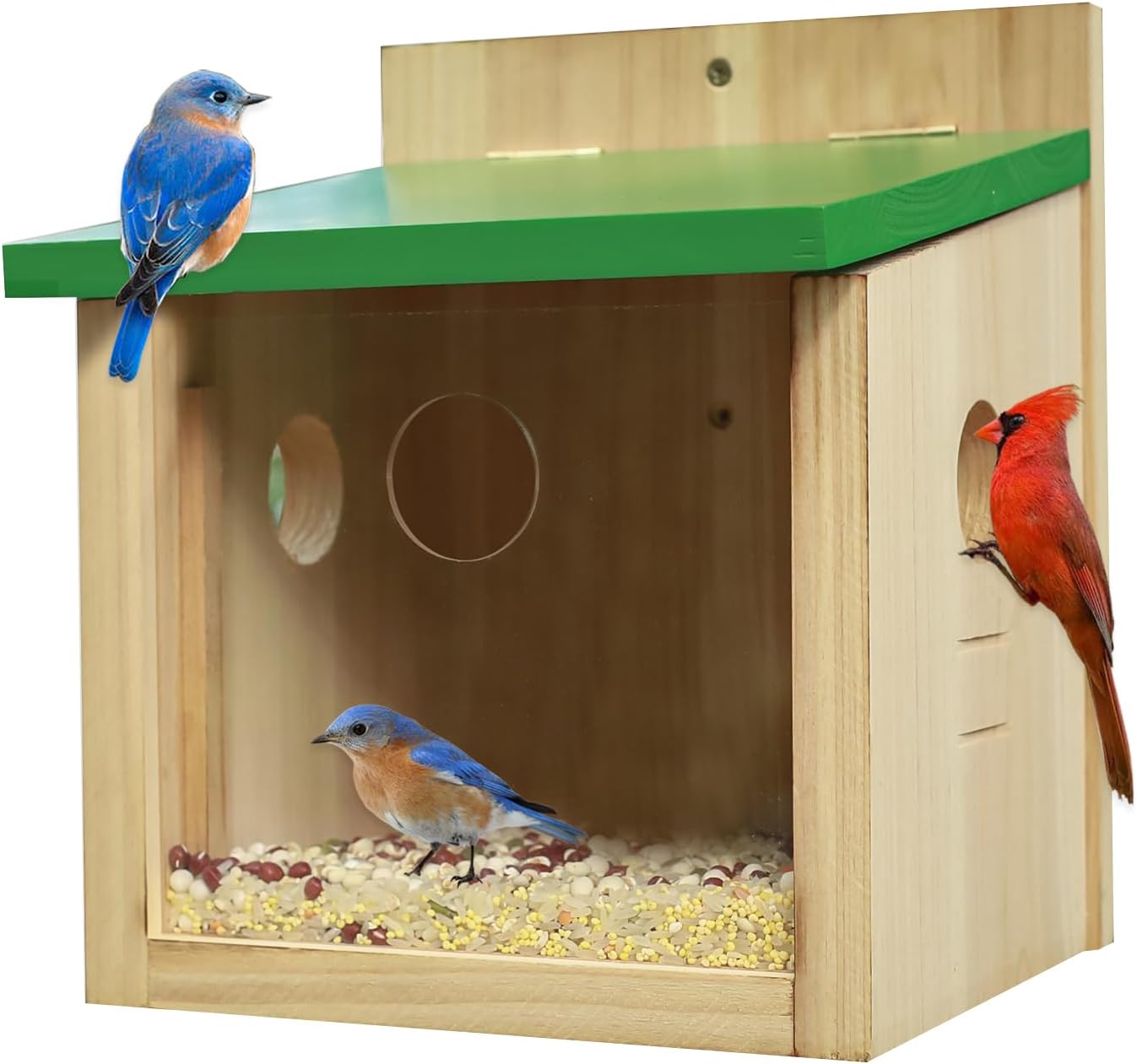 STARSWR Bird House Large Bluebird House Feeder Outdoor Mealworms Feeder for Bluebird with Viewing Window,with Easy Clean Removable Door Outside Hanging Birdhouses