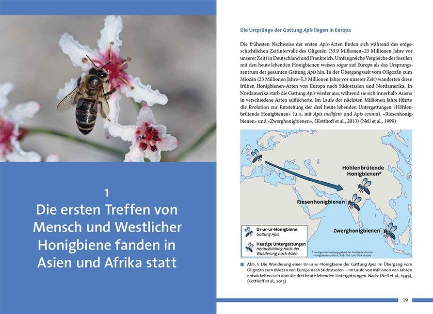 Nachhaltig Imkern mit gesunden Honigbienen: Aus Vergangenheit und Gegenwart für die Zukunft lernen