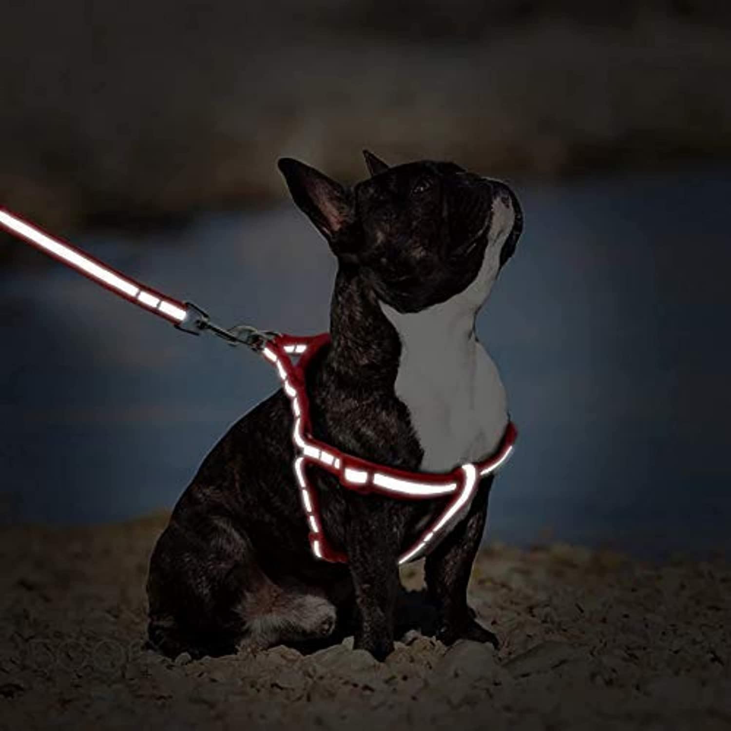 RvPaws Small Dogs Nylon Reflective Dog Leash Lead Set Adjustable, Nylon 15 MM Puppy Body Belt Set Reflective for Small Breed Pets (Red) (B0BS44W9MB) Amazon Price History, Amazon Price Tracker