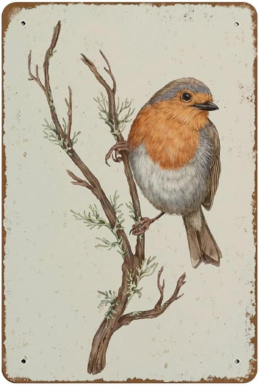 Impression giclée rouge-gorge oiseau branche décoration murale rétro