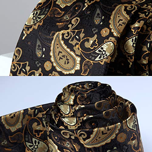 Image of HISDERN Ties for Men Paisley Tie and Pocket Square Woven Classic Floral Mens Ties Handkerchief Set Wedding Party Necktie