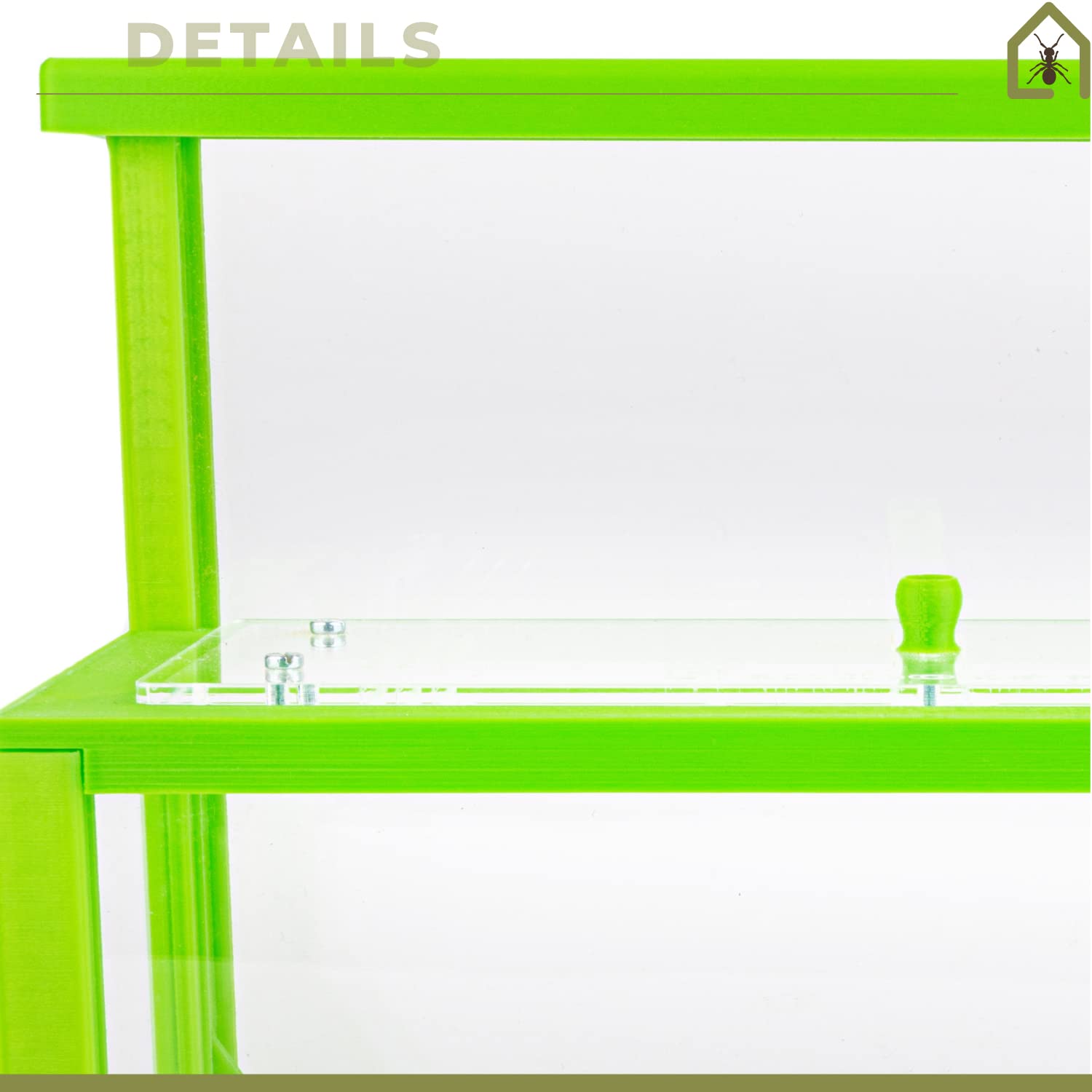 AntHouse - Formicaio Naturale di Sabbia 3D Verde | Kit L (Sandwich + Cassa di Foraggiamento) | Formiche Incluse con Regina