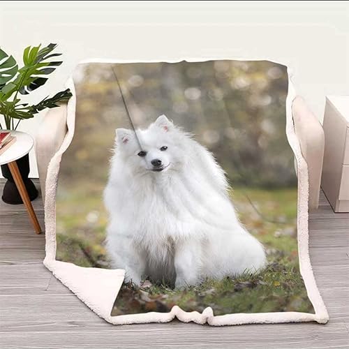 Miniatura 9 de Cobijas Calientes para Invierno con vista al mar y al cielo, mantas suaves y acogedoras para campamento, viajes, picnic, tamaño pequeño, 31.5 x 47