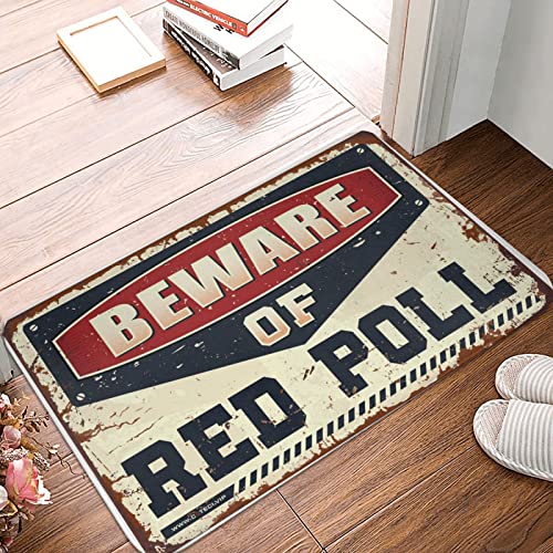 Tapis de sol rouge 65x90 cm paillasson de qualité