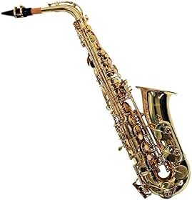 SAXOFONE ALTO SHELTER SFT6430L