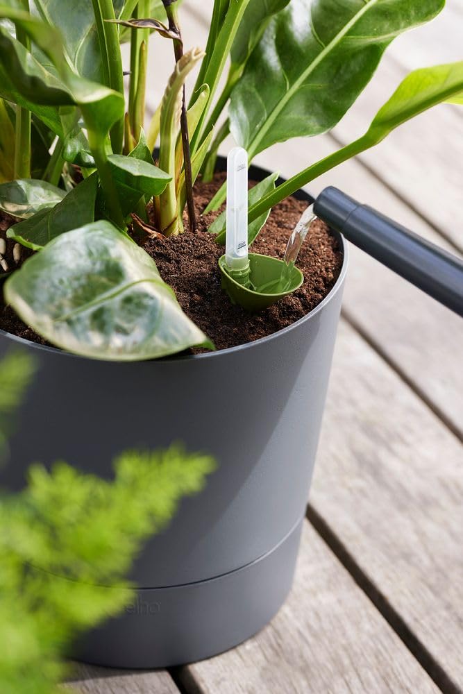 Elho Greensense Aqua Care Round 30cm Maceta - Charcoal Grey | ∅ 29.5 x 29.1 cm | Platillo integrado | Macetero por Interior y Exterior | Plástico 100% reciclado
