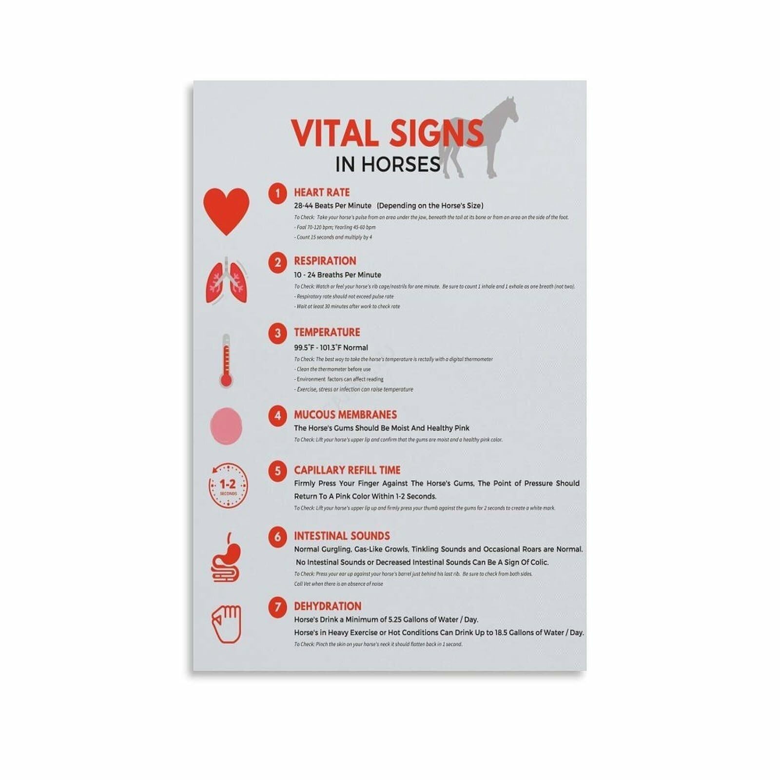 SSOPTMCB Understanding Your Horse Poster Vital Signs Educational Wall Chart for Barn Lounge Vet Office Decor Equestrian Lifestyle Art(Framed,08x12inch(20x30cm))