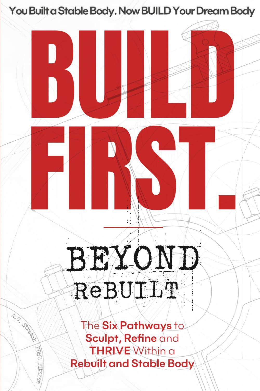 BUILD FIRST. Beyond ReBUILT: Six Pathways to Sculpt, Refine and THRIVE within a Rebuilt and Stable Body (BUILD FIRST. The Protective Biology System)