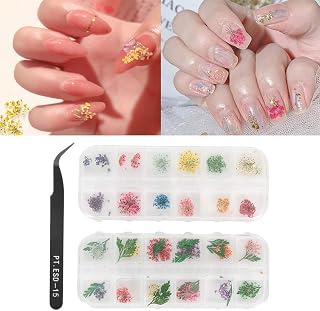 Adesivo de unhas de arte de flor seca, decoração de unhas artesanato de manicure diy arte de unhas acessórios de decoração tridimensional arte de modelagem de flores decoração de unhas decoração de telefone