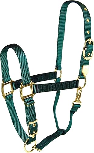 Hamilton Halter de nailon de 1 pulgada con barbilla ajustable, verde oscuro, tamaño grande de 1100 a 1600 libras