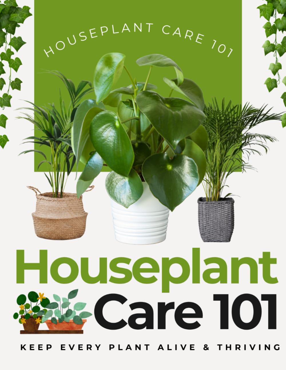 Houseplant Care 101: Keep Every Plant Alive & Thriving