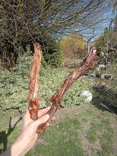Lucze, Pferdesehnen für Hunde, 1kg, Hypoallergenes Hundefutter, Kauartikel Hund vom Pferd, Getreocknete Sehnen 100% natürlich, Tiernahrung ohne Chemie, Eigenherstellung