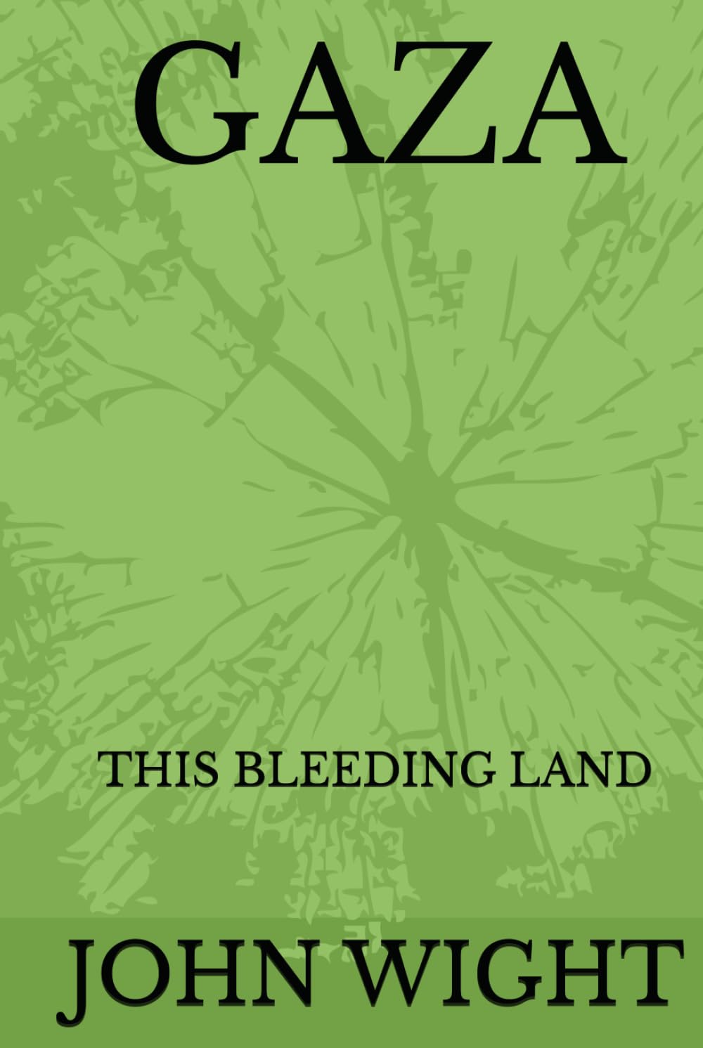 Gaza This Bleeding Land