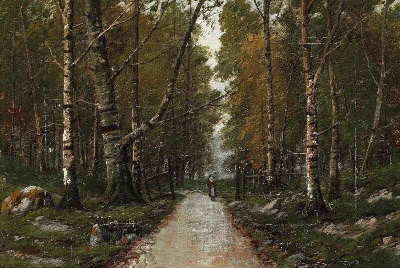 Cuadro sobre lienzo SERENDIPITP Forest Scenery de Anders Lund de alta definición