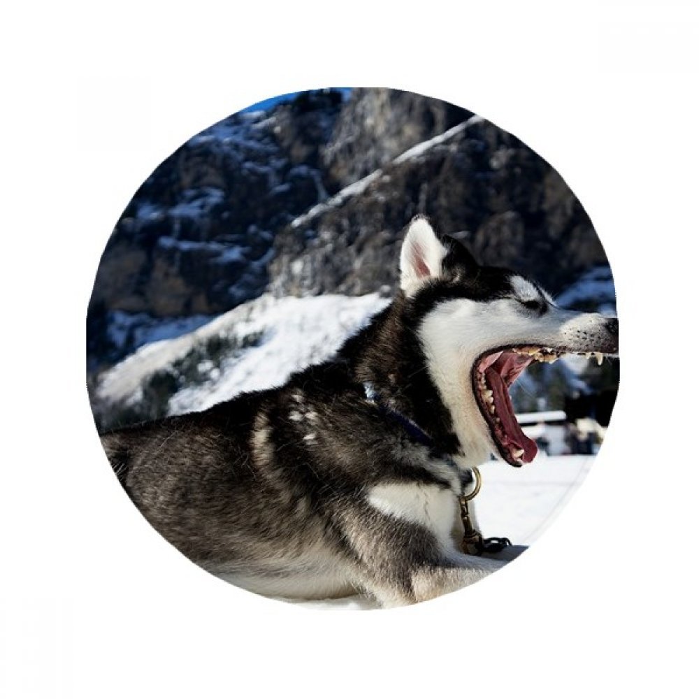 Tapis de chien husky anti-dérapant pour cuisine et salon rond 50cm