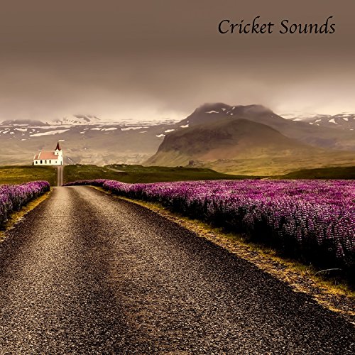 Cricket Sounds