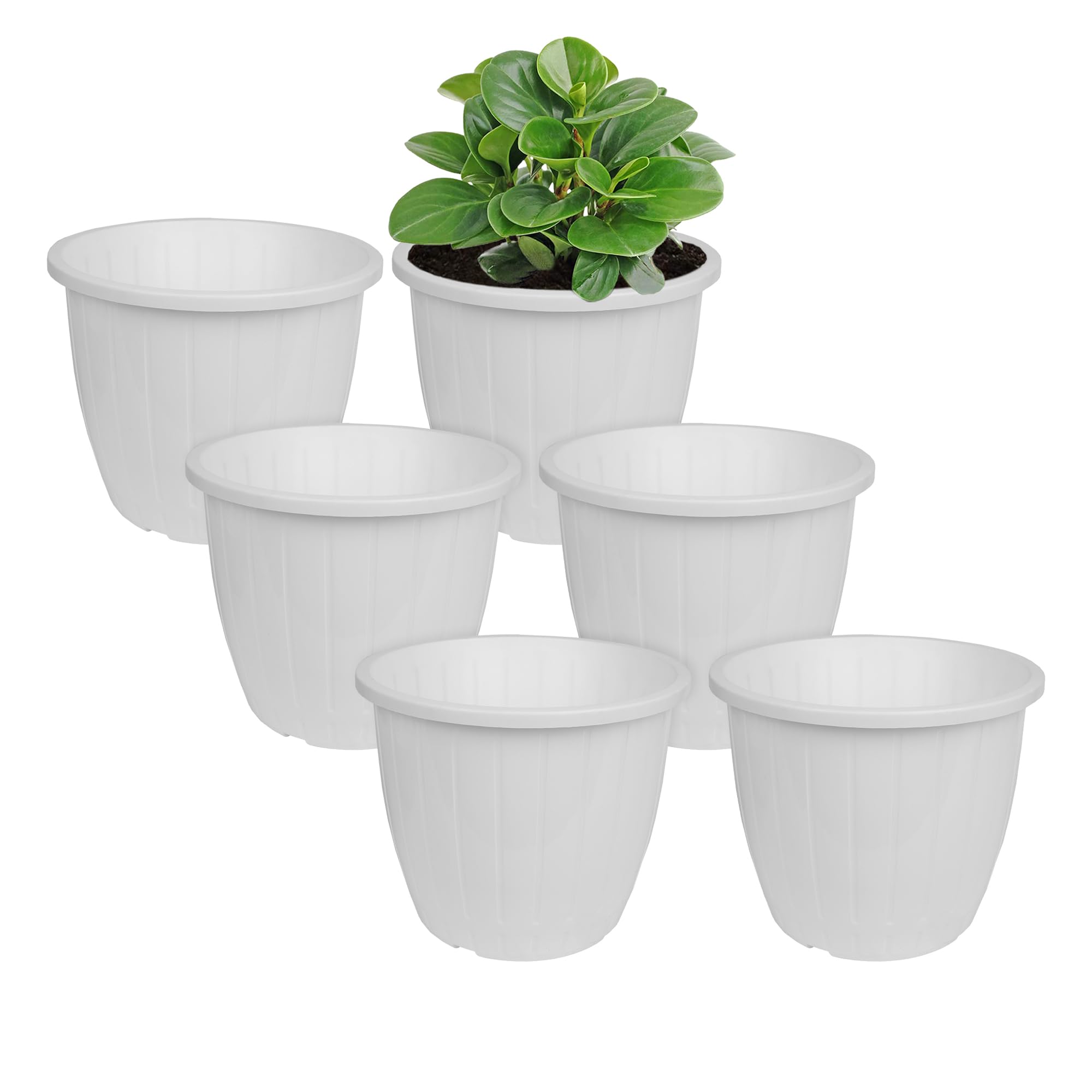 Kuber Industries Flower Pot | Flower Pots for Indoor & Outdoor | Planter for Flower | Balcony Pots for Home Decor | Duro Flower Pot | 8 Inch | Pack of 6 | White (B0CW61D43H) Amazon Price History, Amazon Price Tracker