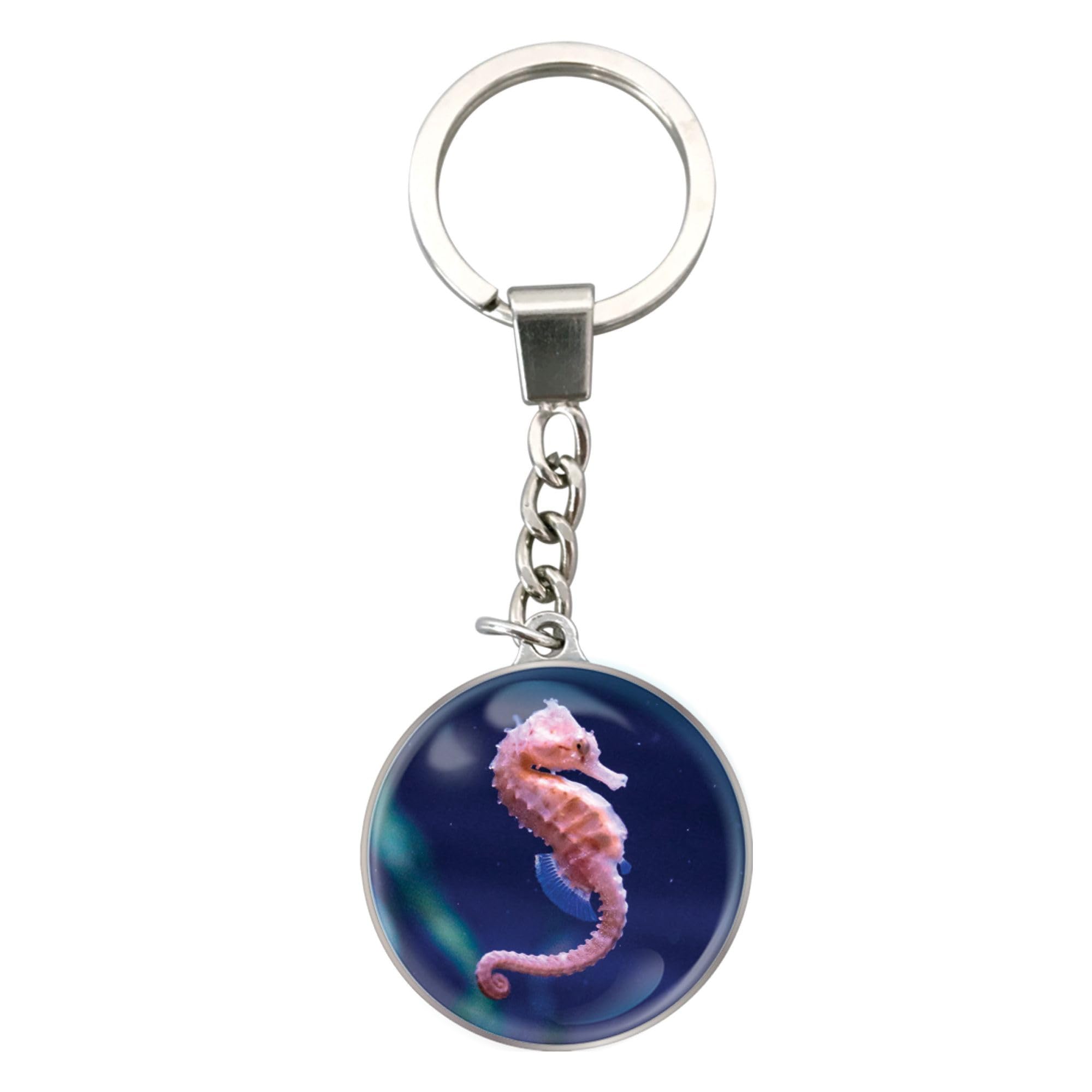 Magnidome Deluxebase Seahorse Keychain – Crystal Glass Dome Animal Key Ring with Stainless Steel Chain, Cute Seahorse Key Holder for Fun Bag Charms and Novelty Gifts.