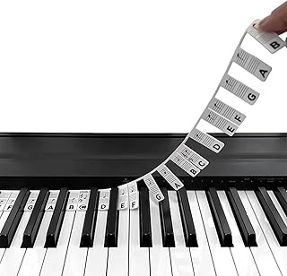LZ Removable Piano Keyboard Note Labels - Piano Keyboard Stickers, keyboard piano，Piano Notes Guide Removable, Silicone Piano Key Labels 88 Keys Full Size