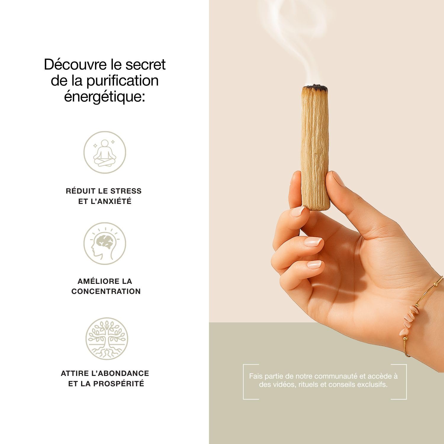 Coffret Premium Rituel Nettoyage Énergétique Palo Santo Purification Sauge Blanche Bracelet Sélénite Maison