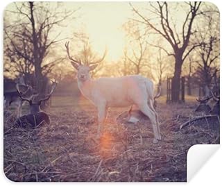 Sheep Forestry Science Nature Cleaning Cloth Screen Cleaner 2pcs Suede Fabric