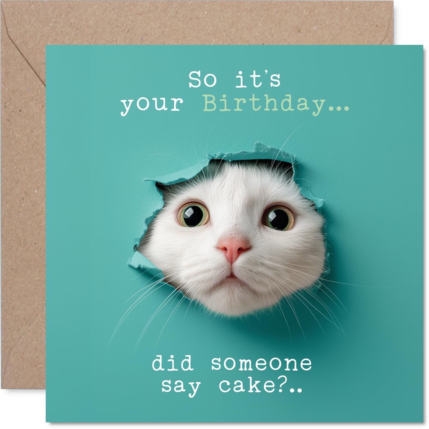 Family Birthday Card - Catty Cake Catty Cake - Happy Birthday Card for Family from Colleague Friends, 145mm cute cat humorous Bday Greeting Cards